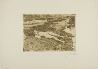 En las Arenas de Anders Leonard Zorn