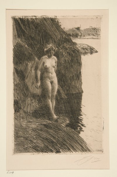 Especialmente de Anders Leonard Zorn