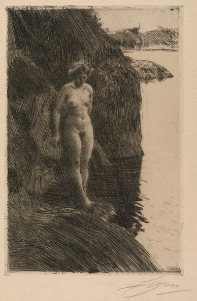 Precipicio de Anders Leonard Zorn