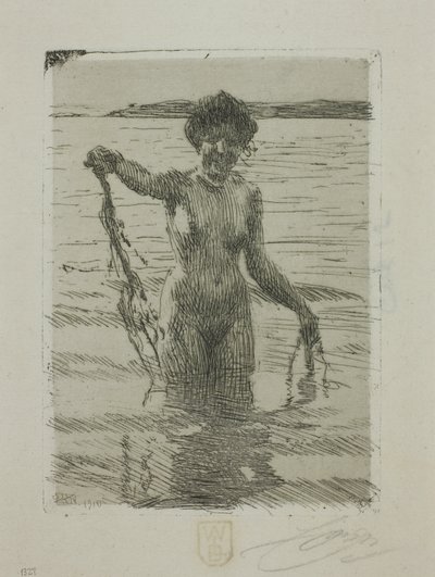 Algas de Anders Leonard Zorn