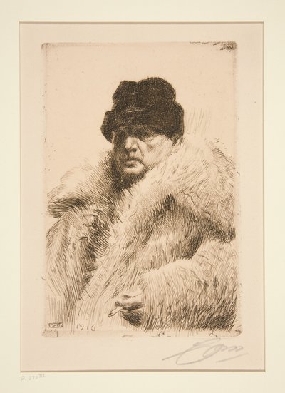  de Anders Zorn