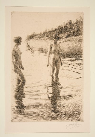 Poco profundo de Anders Leonard Zorn