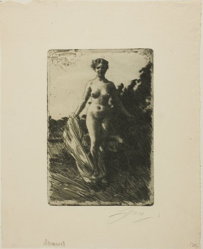Verano de Anders Leonard Zorn