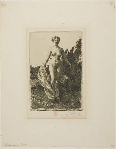 Verano de Anders Leonard Zorn