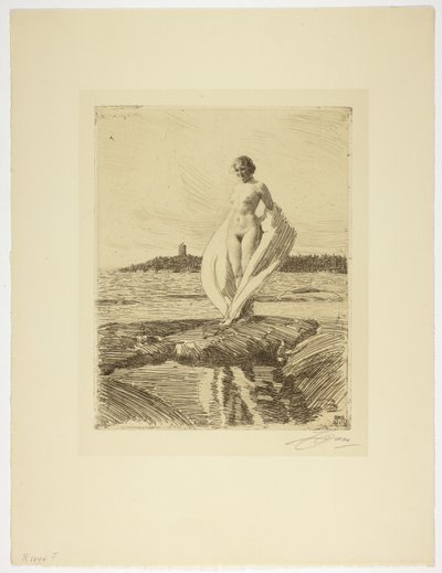 El cisne de Anders Leonard Zorn