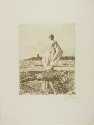El Cisne de Anders Leonard Zorn