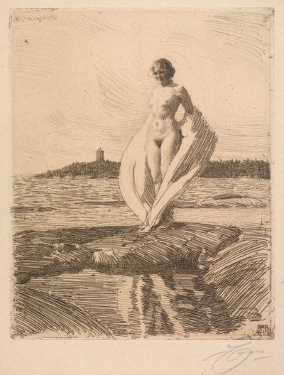 El cisne de Anders Leonard Zorn