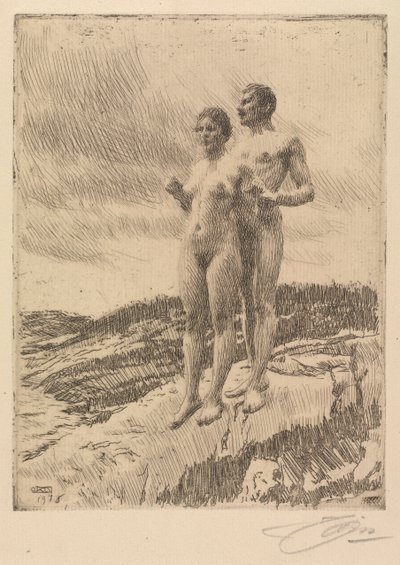 Los Dos de Anders Leonard Zorn