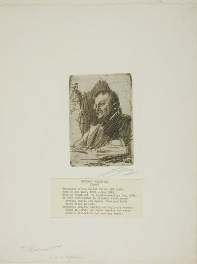 Theodore Roosevelt de Anders Leonard Zorn