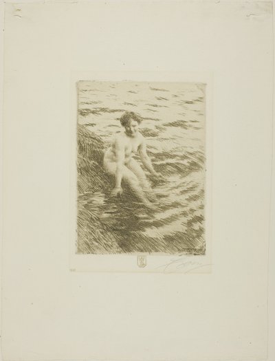 Mojado de Anders Leonard Zorn