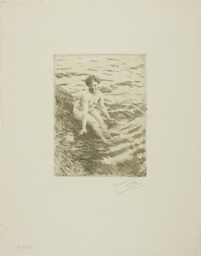 Mojado de Anders Leonard Zorn
