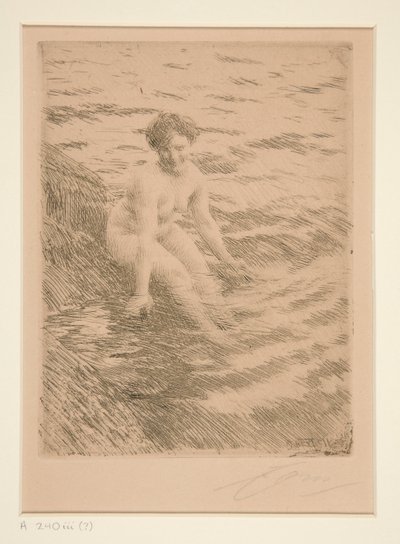 Mojada de Anders Leonard Zorn
