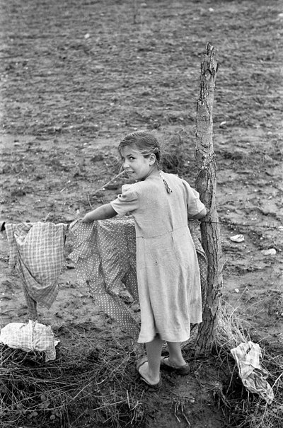 CROTONE COUNTRYSIDE - PAÑOS COLGANTES de Ando Gilardi