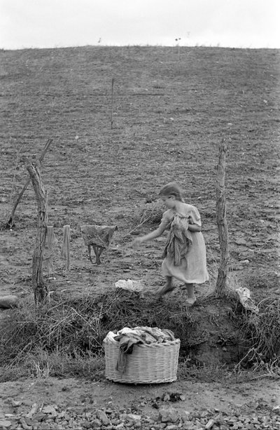 CAMPO DE CROTONE - EL PEQUEÑO LAVANDERO, de Ando Gilardi