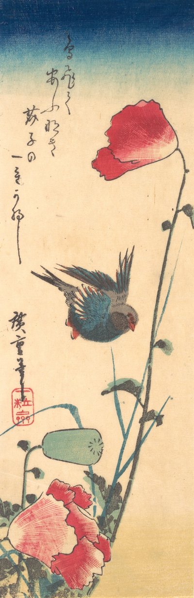 Un pájaro azul y amapolas, 1832-34 de Ando Hiroshige