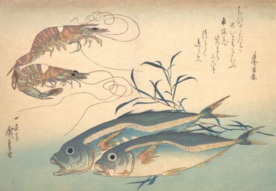 Pez Aji y Kuruma-ebi, de la serie Uozukushi Cada variedad de pez de Ando Hiroshige