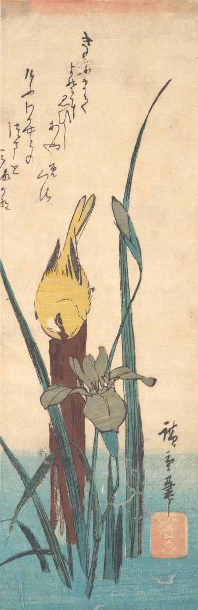 Pájaro e iris de Ando Hiroshige