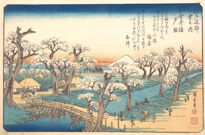 Brillo de la tarde en la frontera de Koganei de Ando Hiroshige