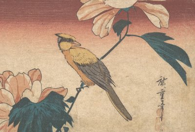 Hibiscus Mutabilis y Jay de Ando Hiroshige