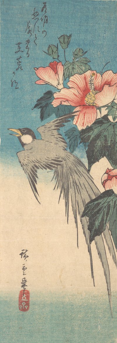 Hibiscus Mutabilis y pájaro de cola larga, ca. 1842 de Ando Hiroshige