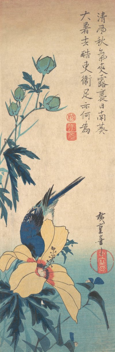 Hibisco y pájaro azul de Ando Hiroshige