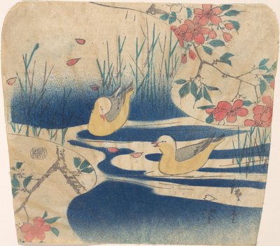 Gaviotas enmascaradas y flores de cerezo de Ando Hiroshige