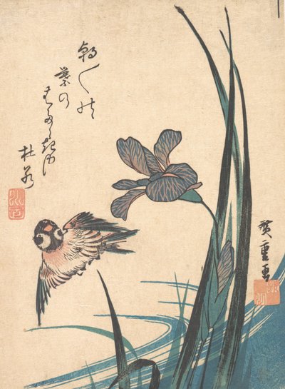 Iris y gorrión de Ando Hiroshige