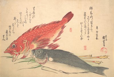 Isaki y Kasago Fish, de la serie Uozukushi Every Variety of Fish, 1830s de Ando Hiroshige