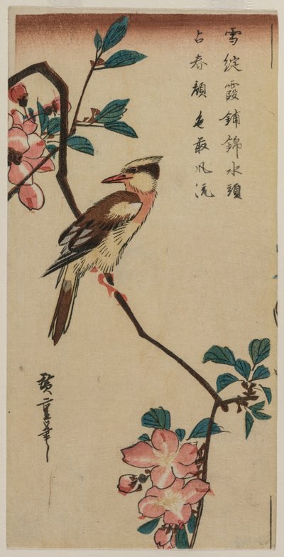 Ruiseñor coreano en rama de cerezo, principios o mediados de la década de 1830 de Ando Hiroshige