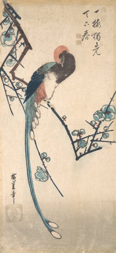 Ave de cola larga de Ando Hiroshige