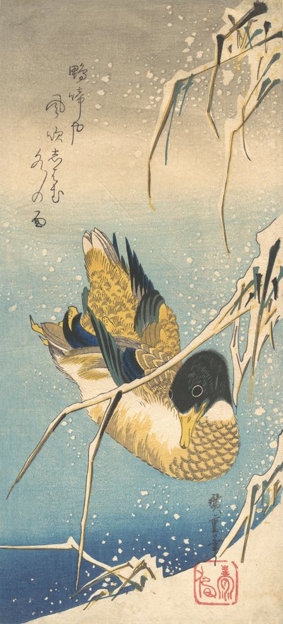 Pato mallard y juncos cubiertos de nieve, ca. 1832 de Ando Hiroshige