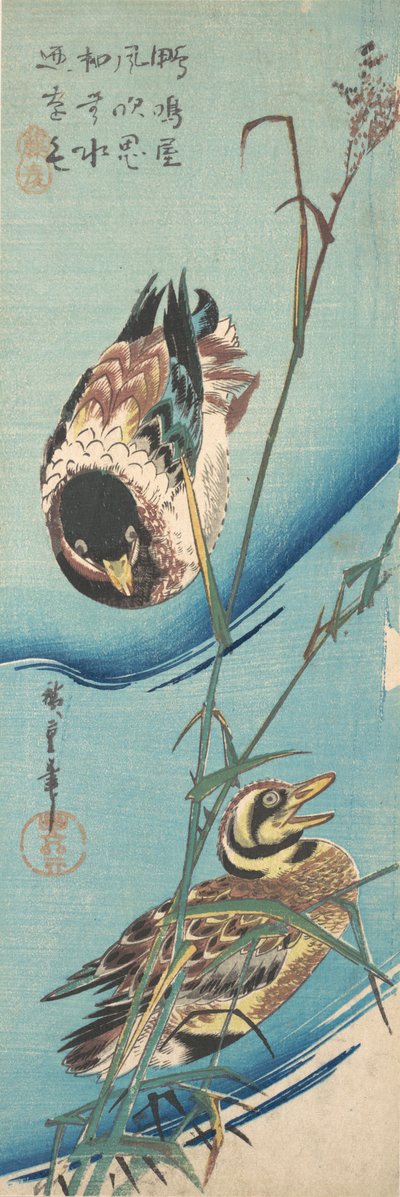 Patos Mallard y juncos cubiertos de nieve, ca. 1843 de Ando Hiroshige