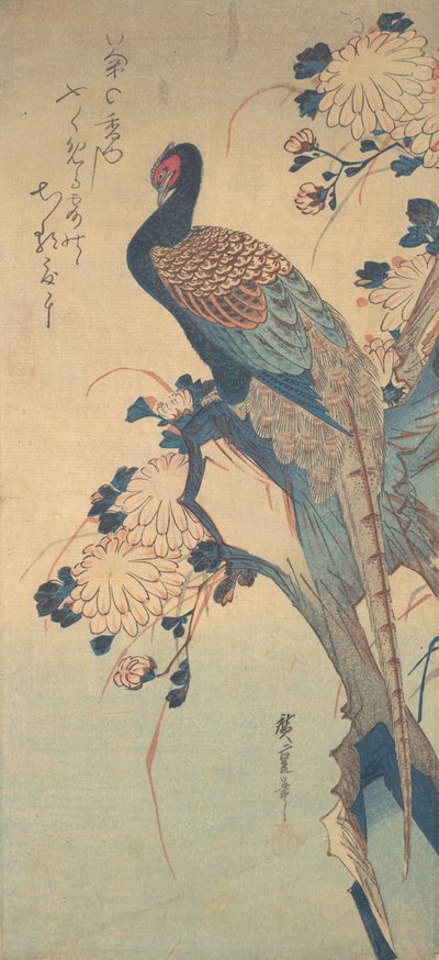 Faisán con crisantemos de Ando Hiroshige