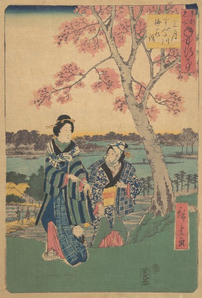 Observación de flores de ciruelo en el tercer mes en el río Sumida de la serie Eventos Anuales en F..., 1854 de Ando Hiroshige