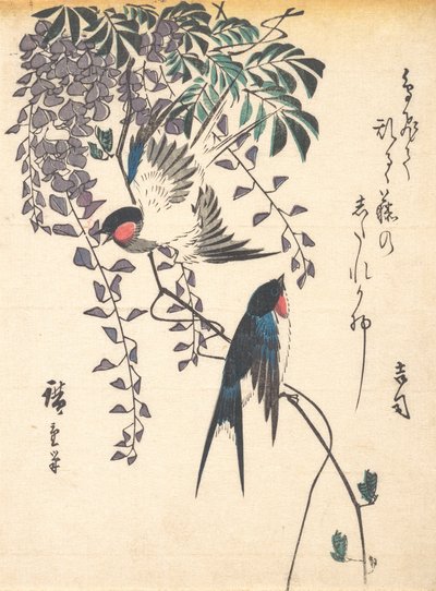 Golondrina y glicinia, mediados de la década de 1840 de Ando Hiroshige