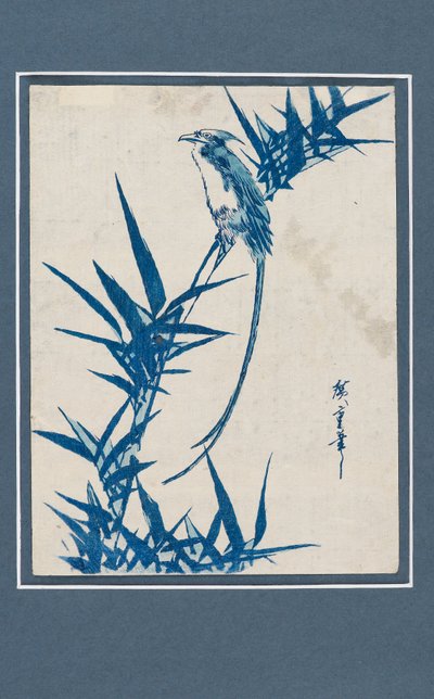 Impresión Ukiyo-e - Pájaro en una rama en azul, c. 1820-1858 de Ando Hiroshige