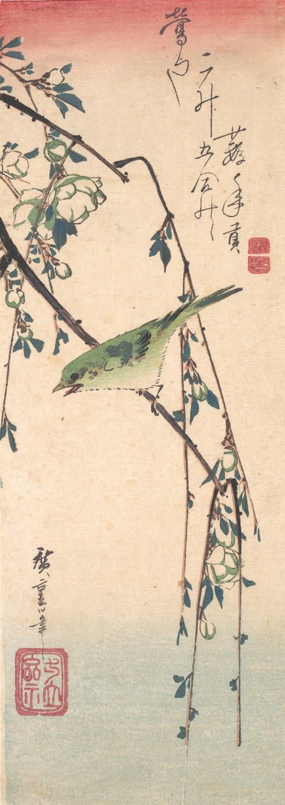 Reinita en una rama de ciruelo, ca. 1835 de Ando Hiroshige