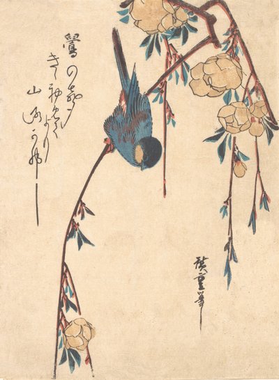 Cerezo llorón de Ando Hiroshige