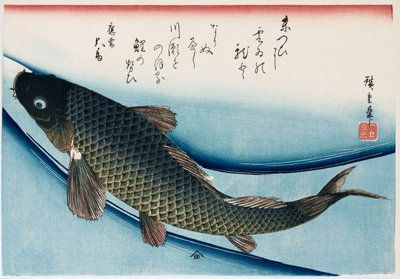 "Carpa", de la serie "Colección de peces" de Ando or Utagawa Hiroshige