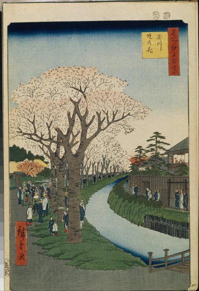 Cien vistas célebres de Edo: Cerezos en flor en las orillas del río Tama de Ando or Utagawa Hiroshige