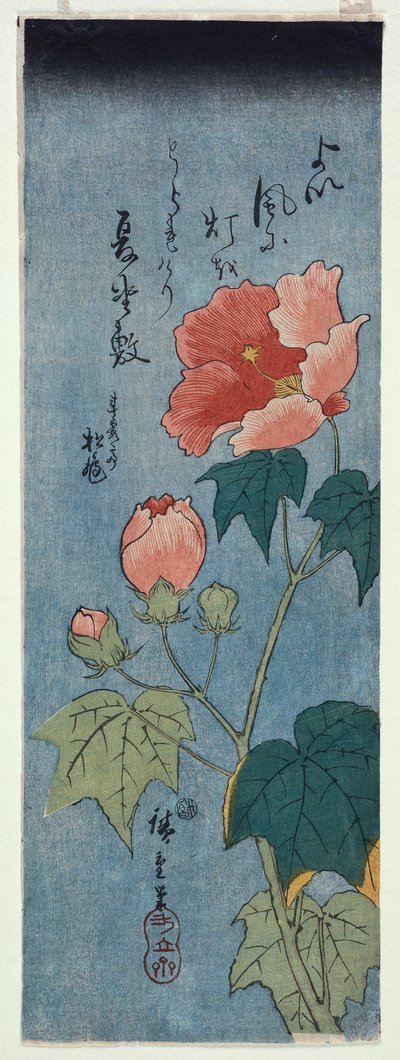 Amapolas en flor, Tanzaku de Ando or Utagawa Hiroshige