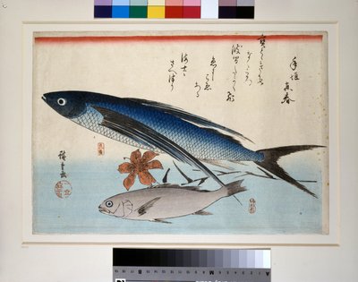 Pez volador, pez ishimochi y lirio de Ando or Utagawa Hiroshige