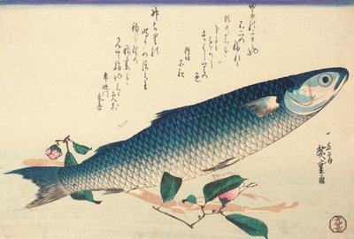 Lisa, camelia y udo de Ando or Utagawa Hiroshige