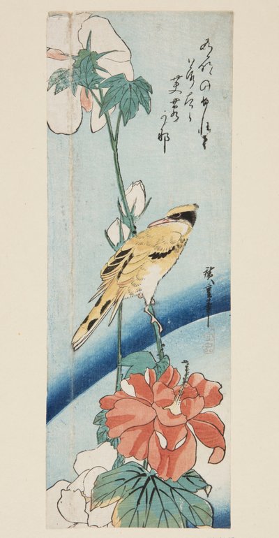 Hibisco y oropéndola de nuca negra de Ando or Utagawa Hiroshige