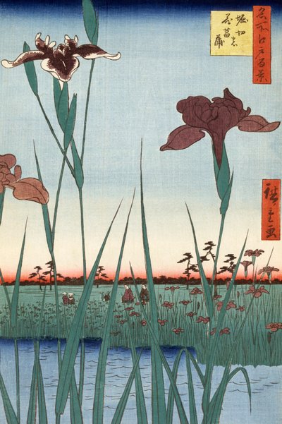 Jardín de lirios de Horikiri por Utagawa Hiroshige de Ando or Utagawa Hiroshige