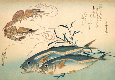 Caballa japonesa y langostino japonés de Ando or Utagawa Hiroshige