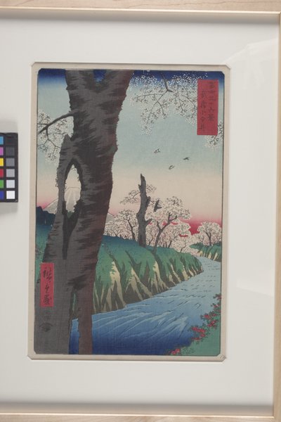 Koganei en la provincia de Musashi (Musashi Koganei) (xilografía en color) de Ando or Utagawa Hiroshige
