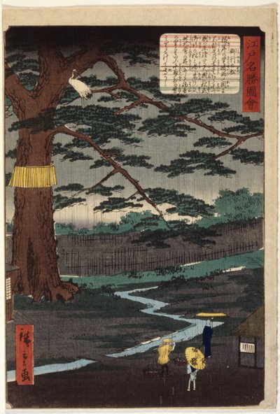 Miyuki Pine (impresión xilográfica en color) de Ando or Utagawa Hiroshige