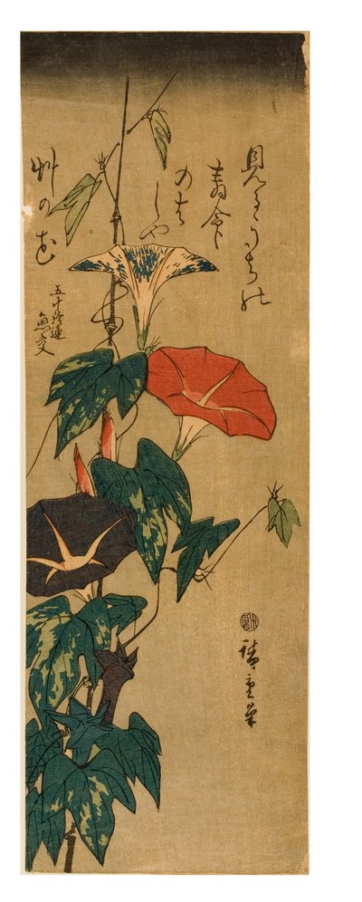 Glorias de la mañana, c.1843-47 de Ando or Utagawa Hiroshige