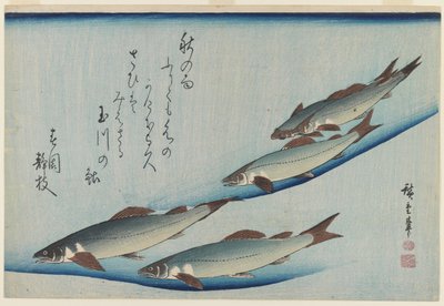 Escuela de Cinco Truchas de Mar, Período Edo de Ando or Utagawa Hiroshige